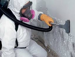 Best Mold Damage Restoration  in Coalfield, TN